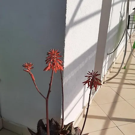 Sunrise Rruga Qeret Apartment